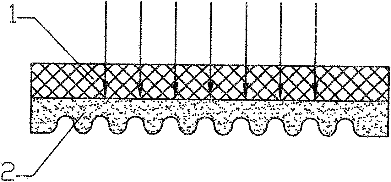 Dried disinfecting electric heating carpet