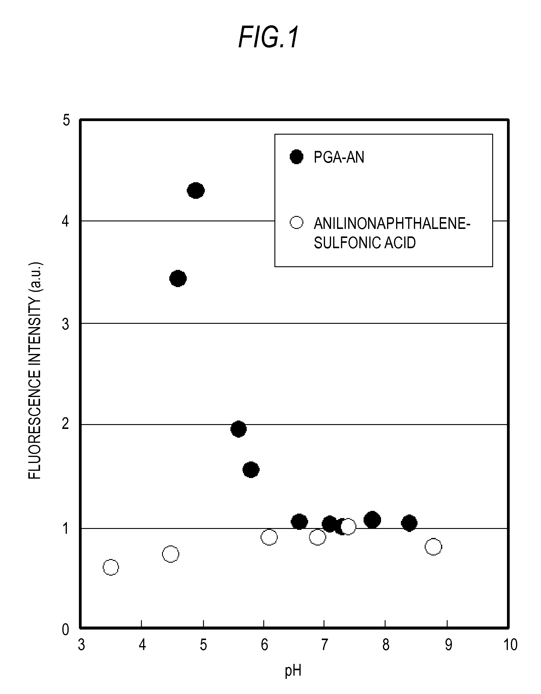 Polymer and fluorescence probe having the polymer