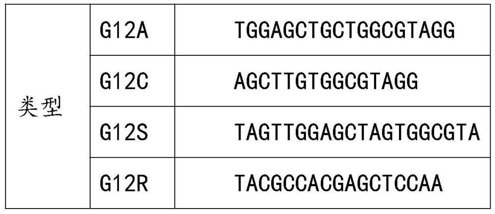 Excrement sample DNA gene mutation kit