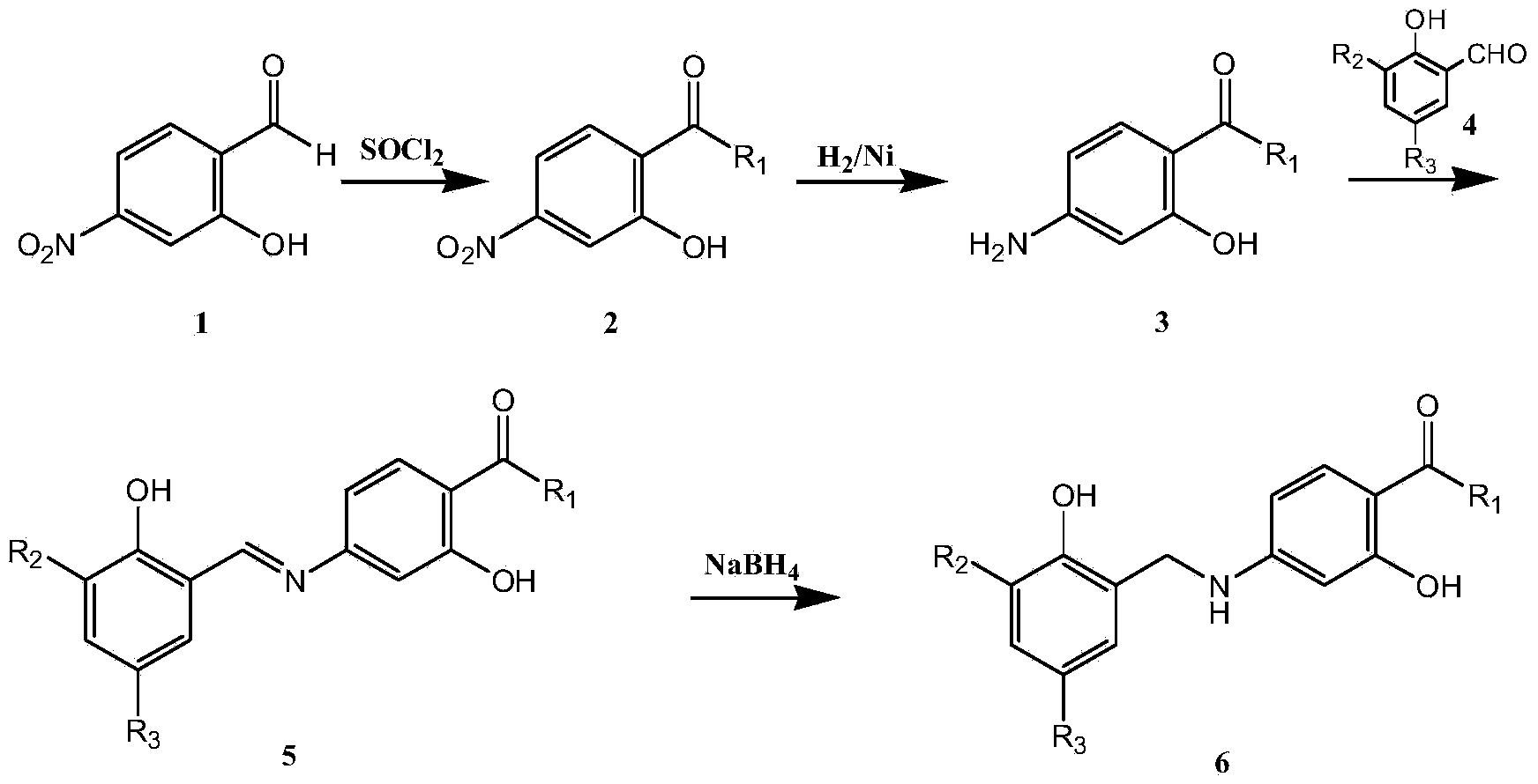 N-benzyl-substituted amide derivatives of amino salicylic acid and 4-aminobutyric acid and drug application of N-benzyl-substituted amide derivatives