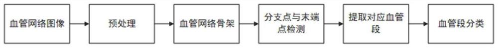 Method for extracting branch points of blood vessel network