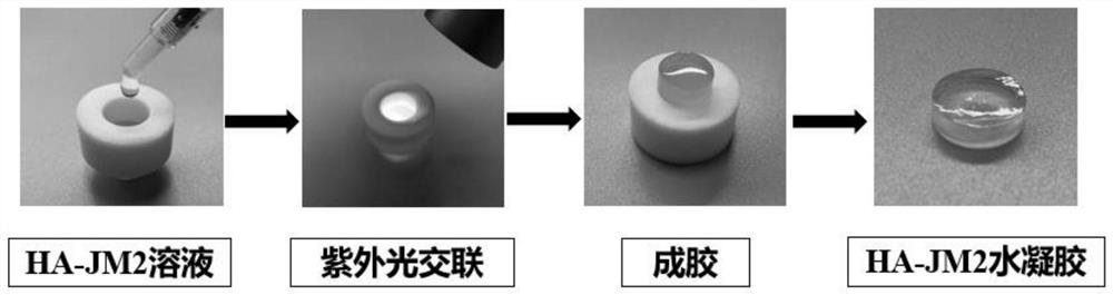 An injectable bioactive hydrogel for tumor suppression and repair promotion