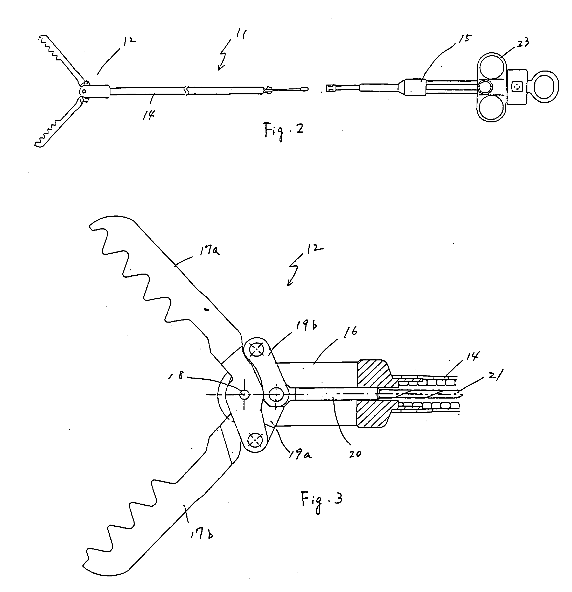 Endoscope and endoscopic instrument and method using same