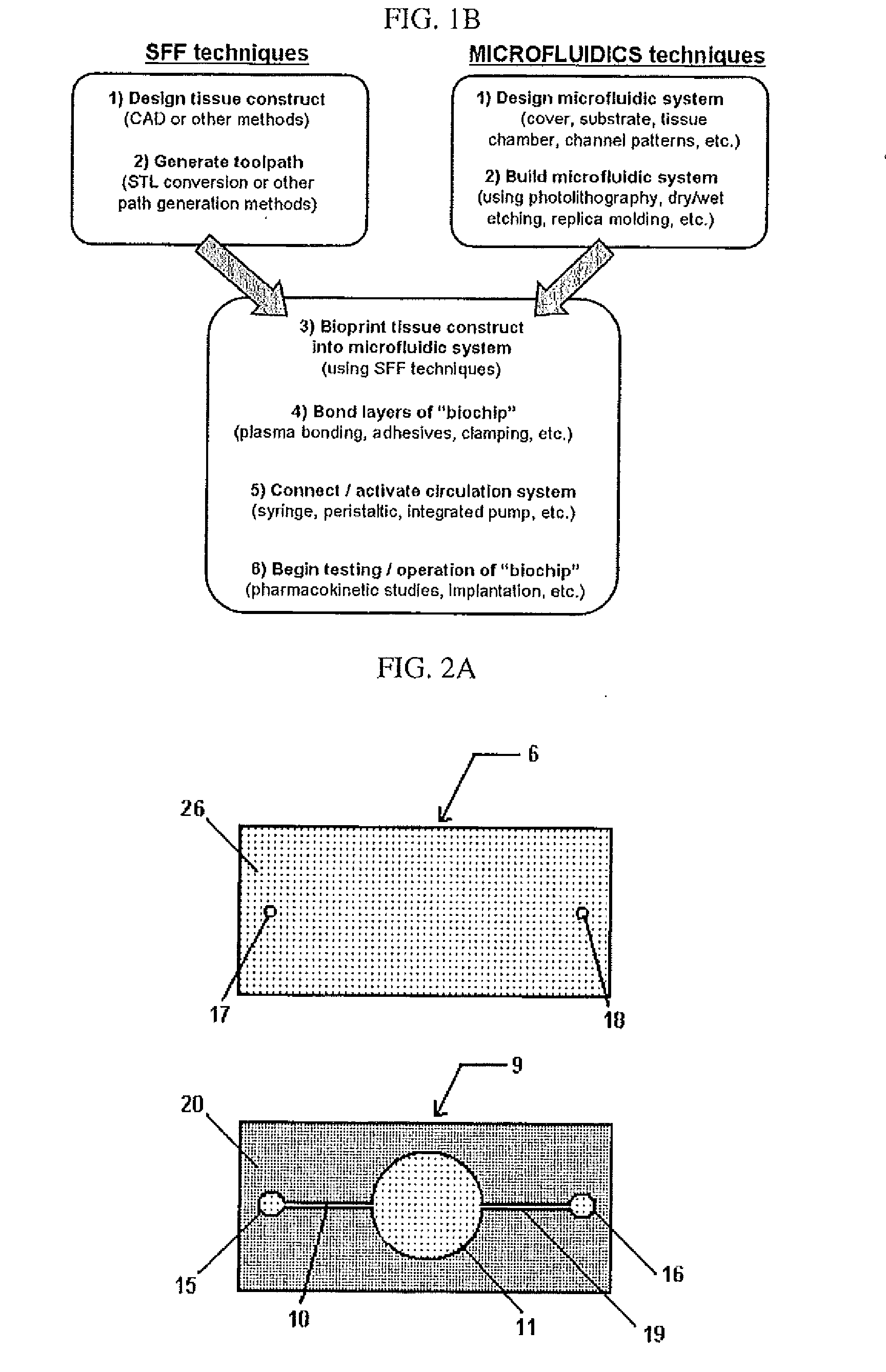 Compositions and Methods for Functionalized Patterning of Tissue Engineering Substrates Including Bioprinting Cell-Laden Constructs for Multicompartment Tissue Chambers