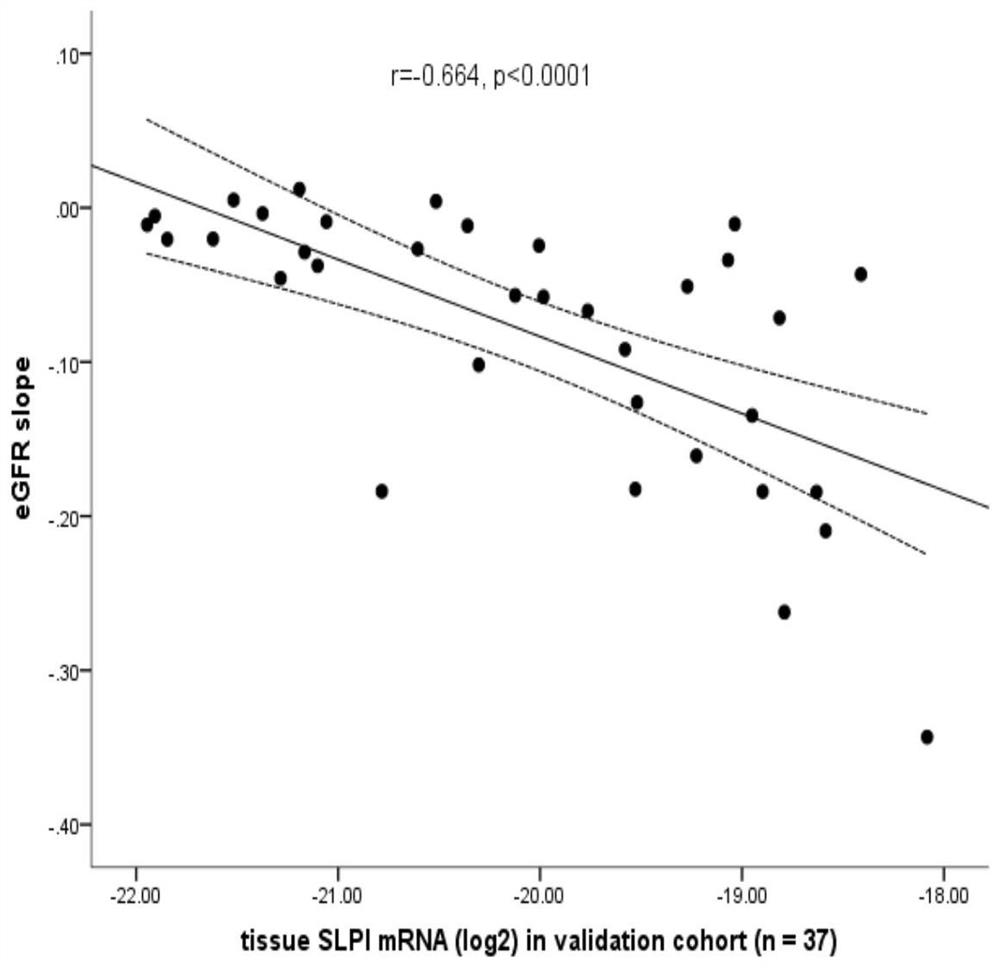 Use of secreted leukoproteinase inhibitor slpi as a prognostic marker for diabetic nephropathy dn