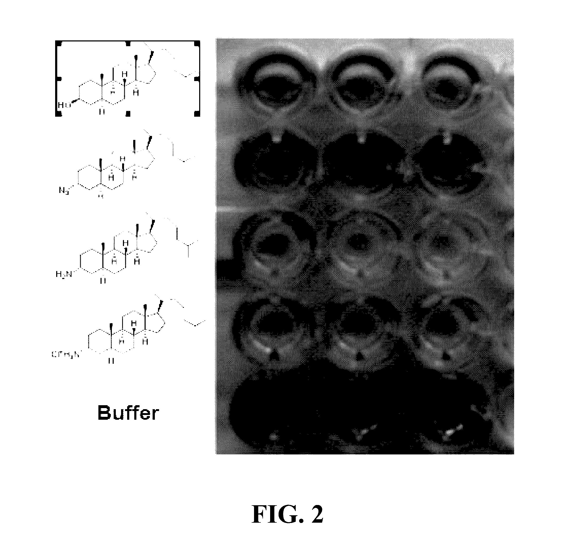 Ship inhibitors and uses thereof