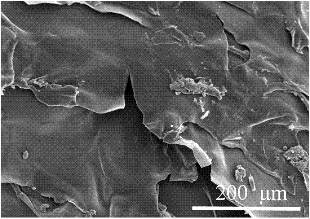 Biomass based network-like porous composite material and preparation method thereof