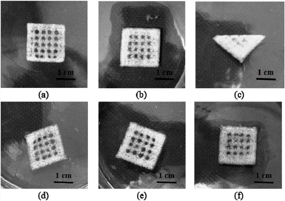 Shape memory hydrogel made of 3D printing and application in controlled release preparation thereof