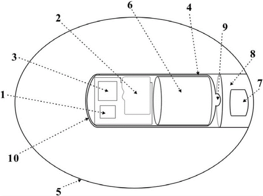 Mud-rock flow in-vivo monitoring apparatus and method