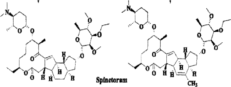 Insecticidal composition containing spinetoram and amide pesticides