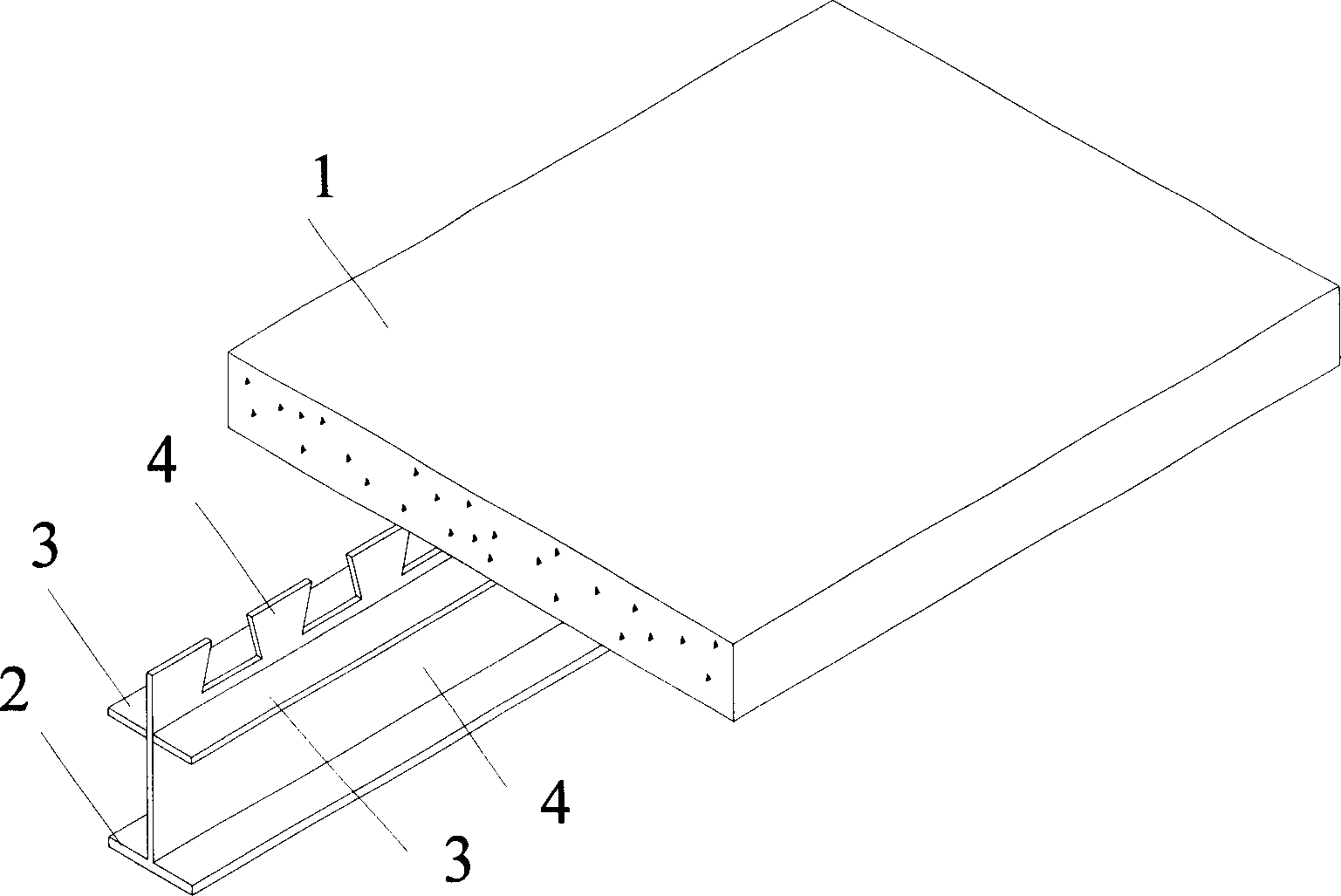 Novel steel-concrete combined beam