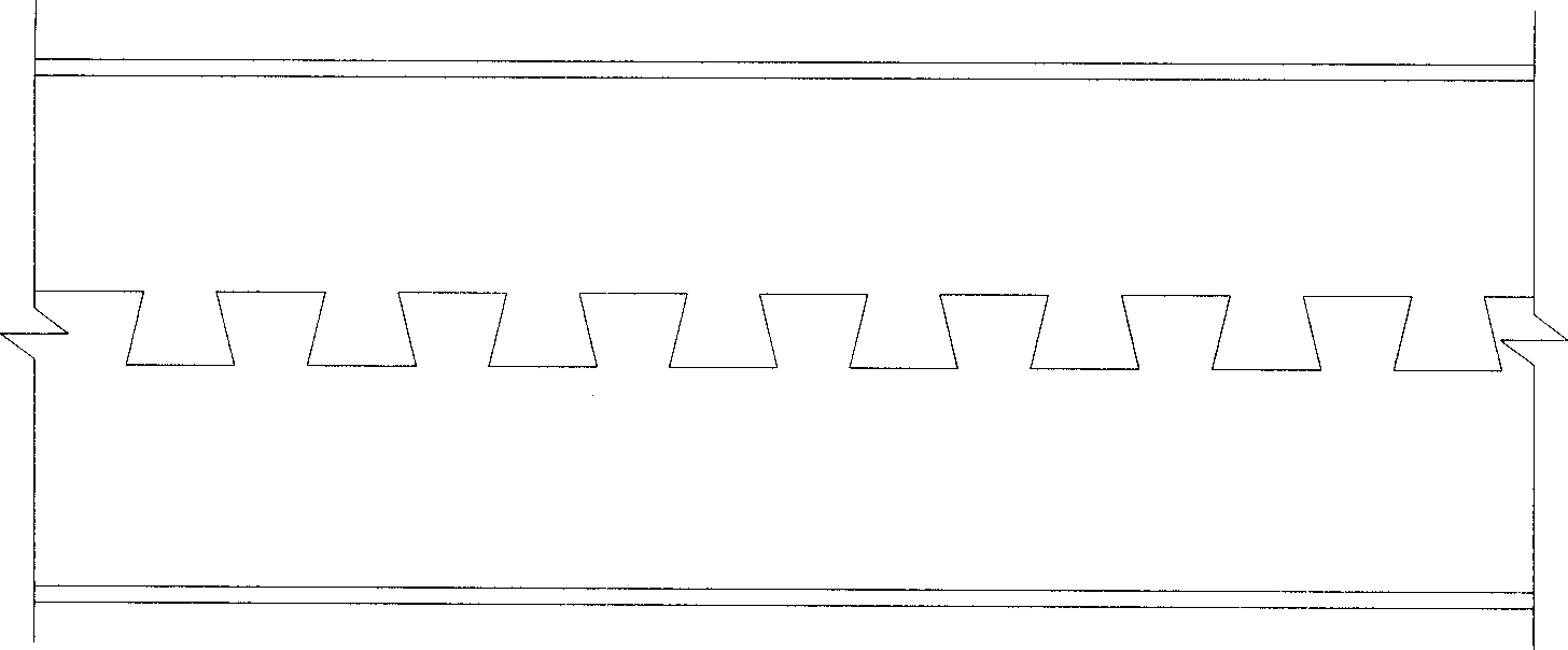 Novel steel-concrete combined beam