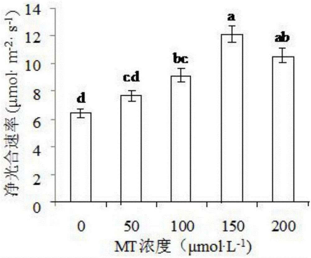 Method for significantly enhancing eggplant stress resistance under high temperature stress
