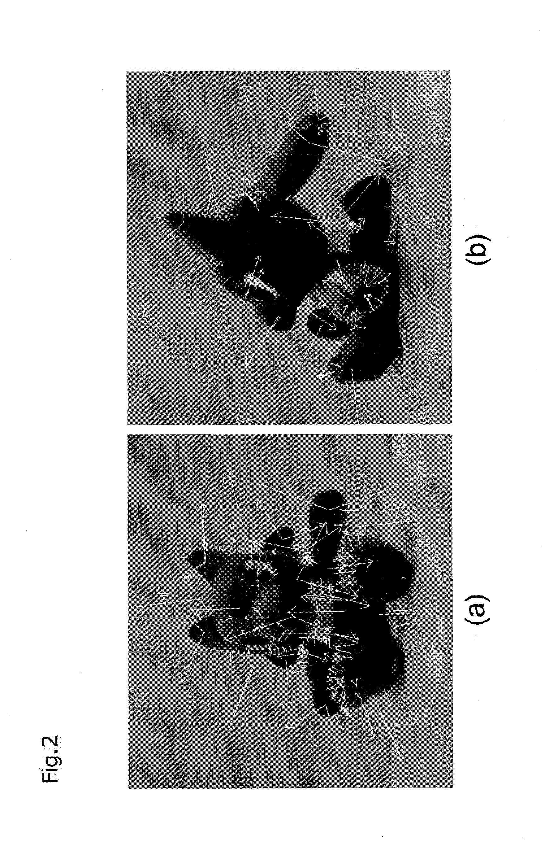 Method and apparatus of compiling image database for three-dimensional object recognition