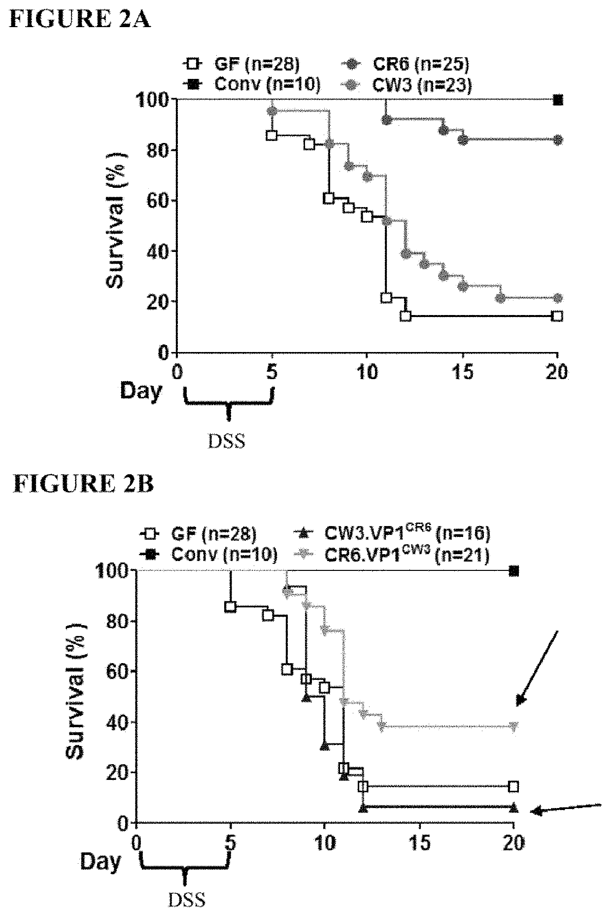 Methods and compositions for treating cancer