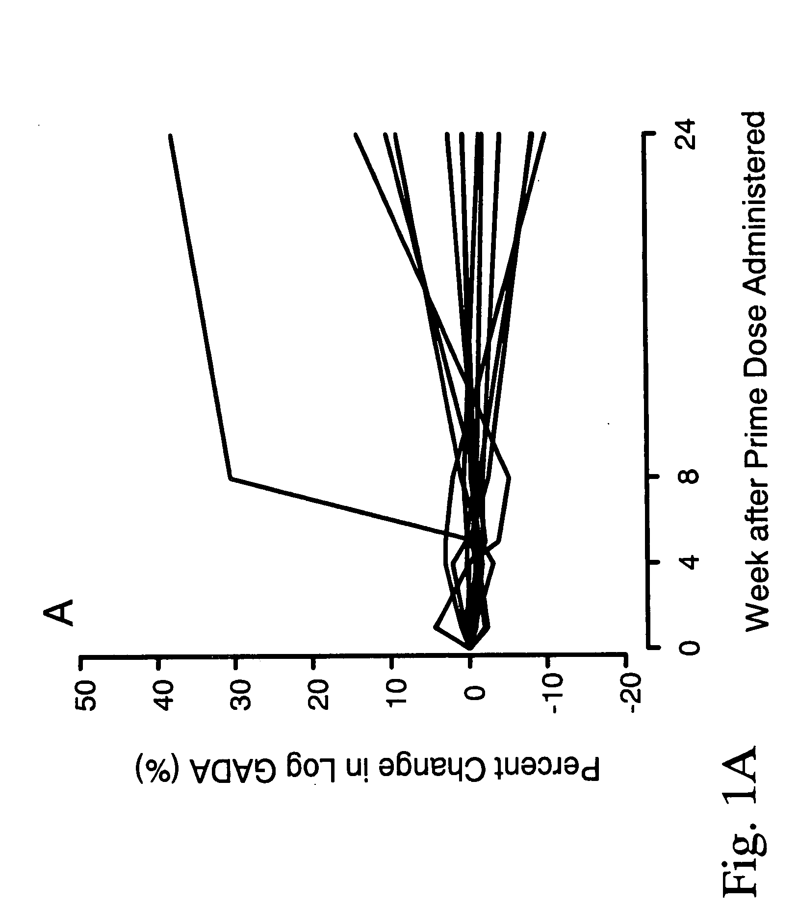 Immunomodulation by a therapeutic medication intended for treatment of diabetes and prevention of autoimmune diabetes