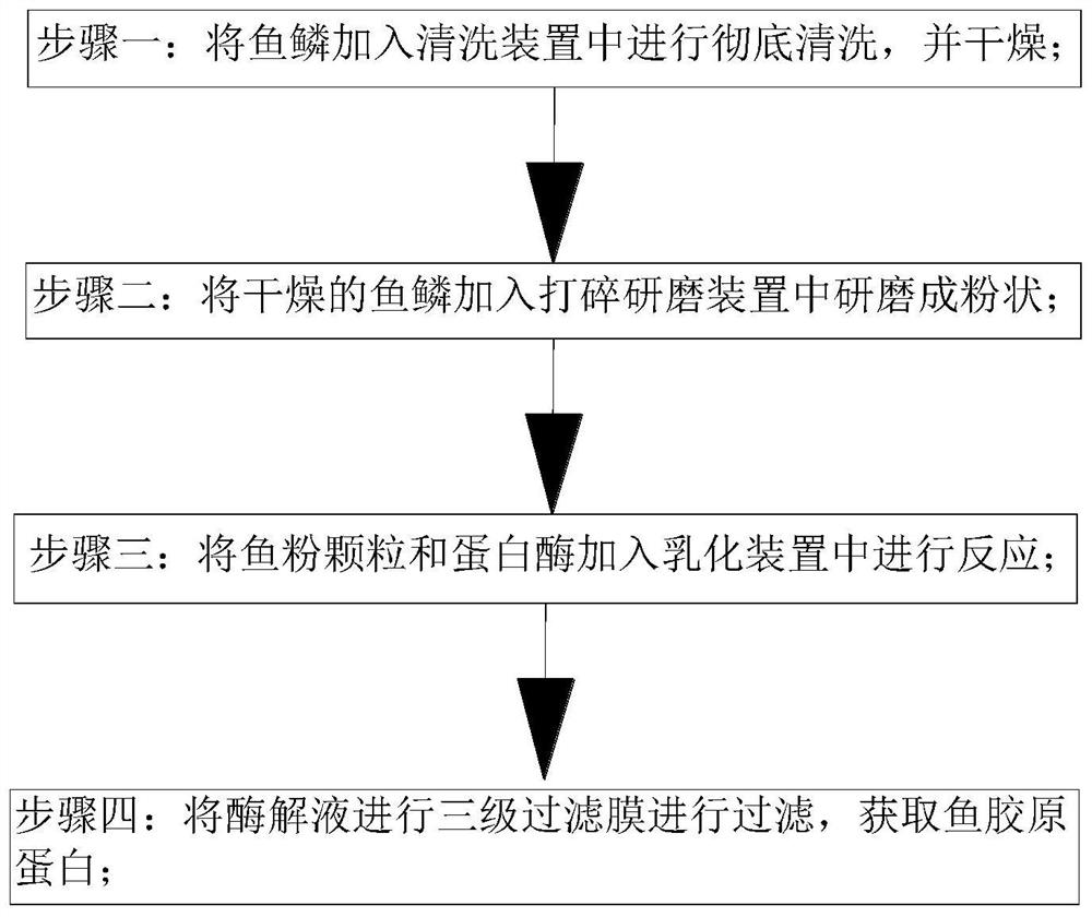 Extraction process of fish collagen peptide