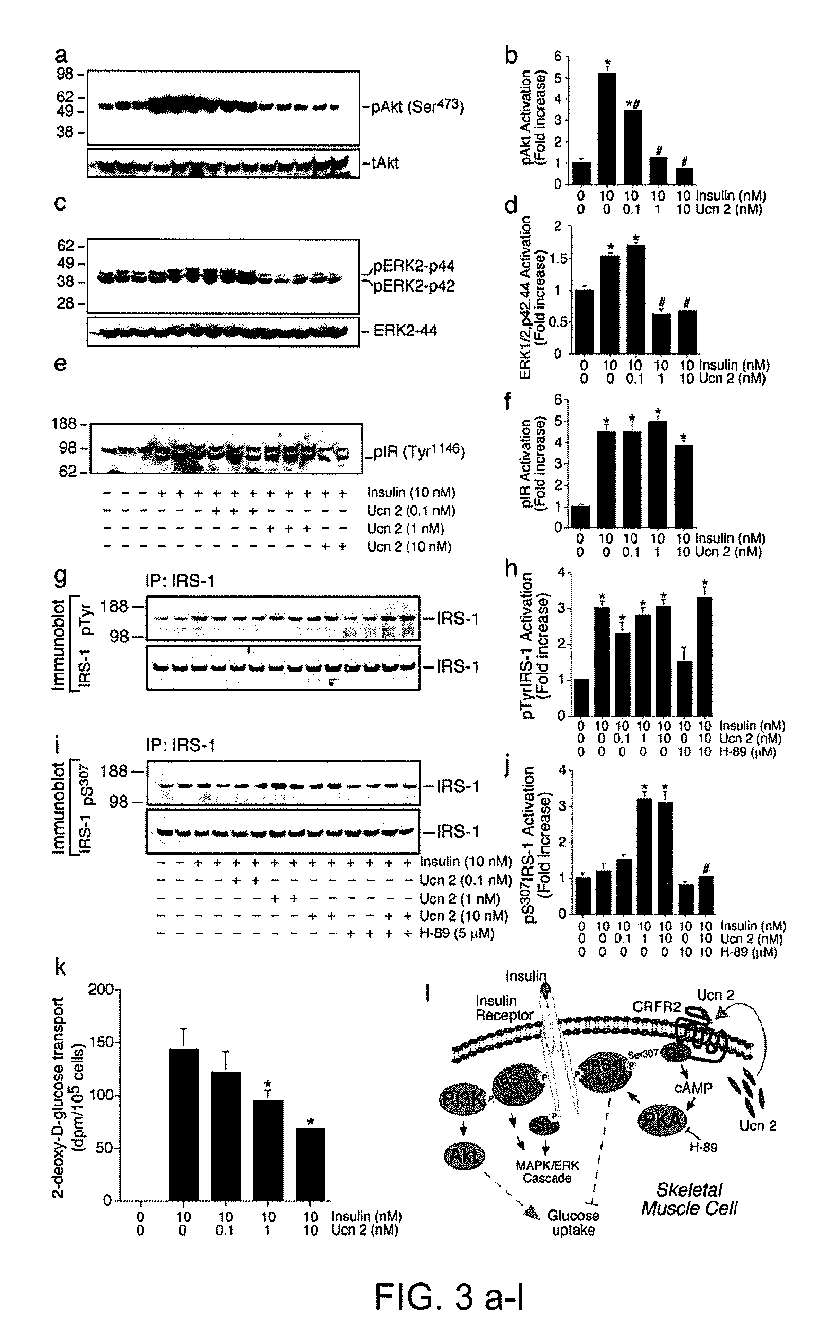 Methods of increasing insulin sensitivity or decreasing insulin secretion by administering corticotropin releasing factor receptor-2 inhibitors