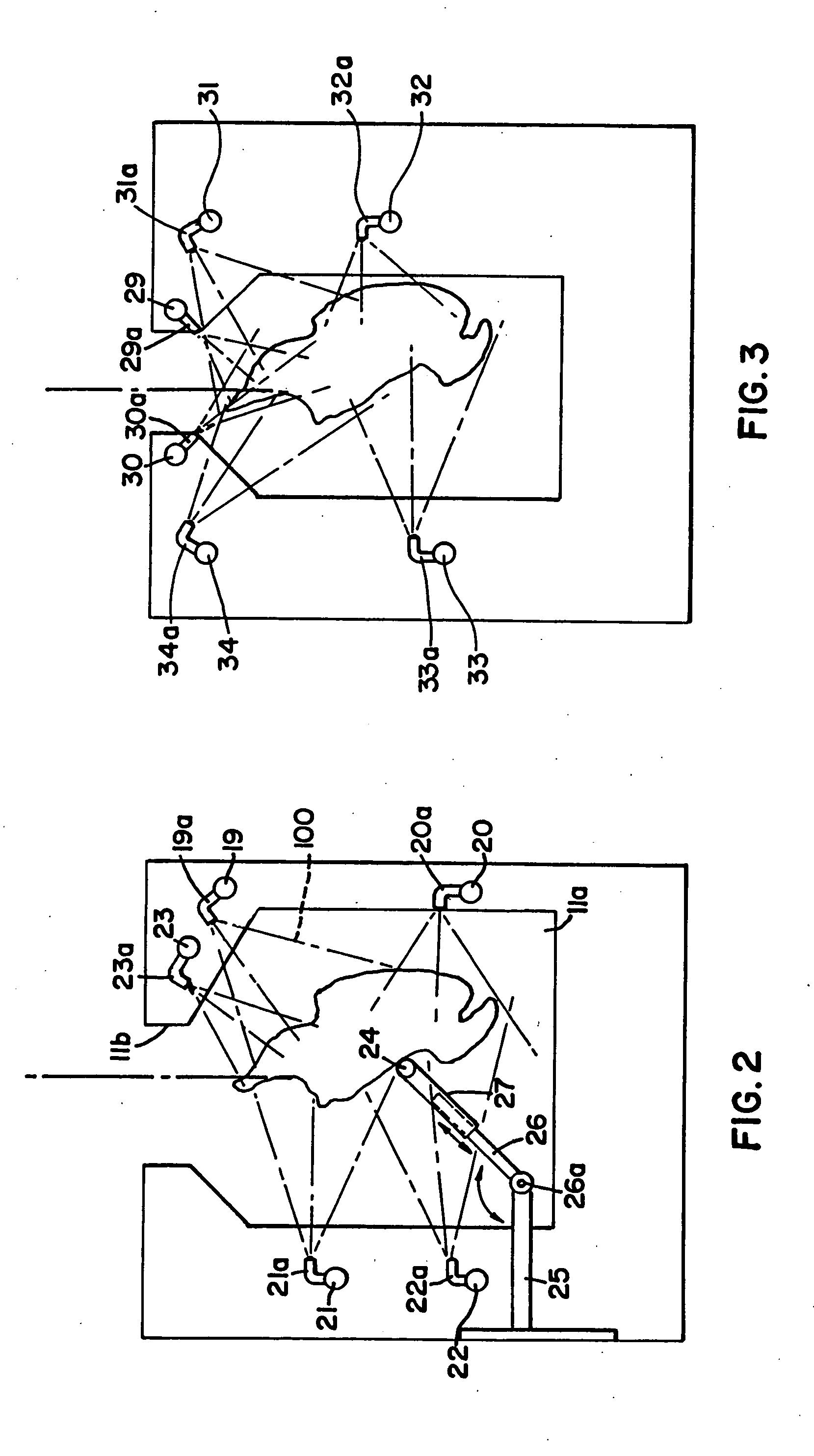 Apparatus and method for cleaning poultry