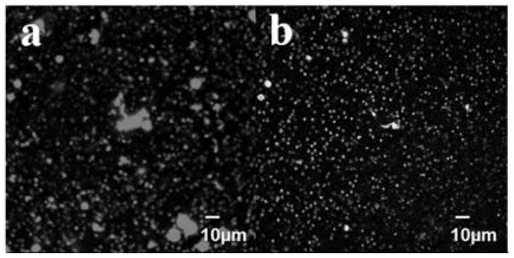 Polymer-entrapped erythrocyte membrane composite material as well as preparation method and application thereof