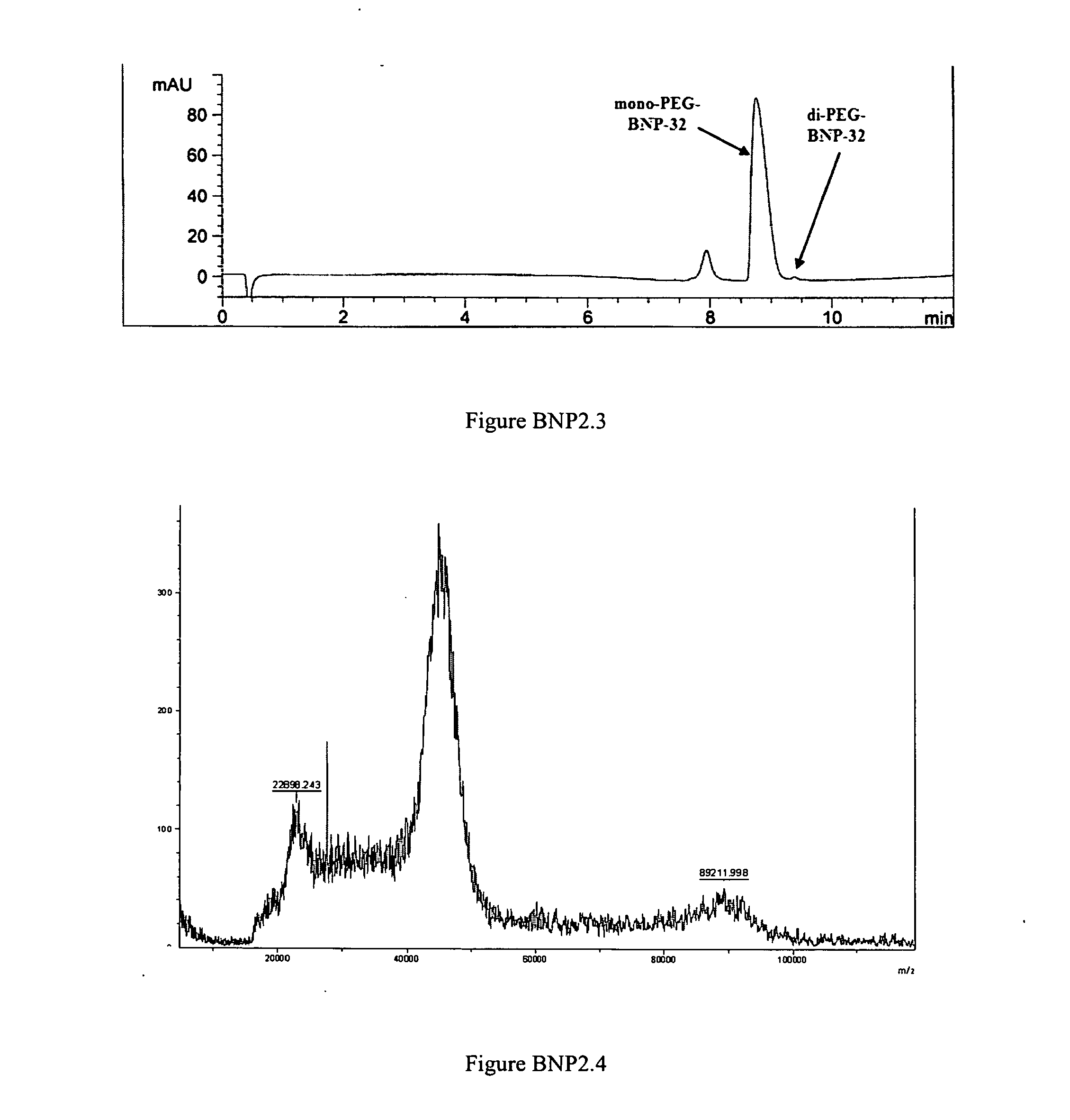 Polymer conjugates of nesiritide peptides