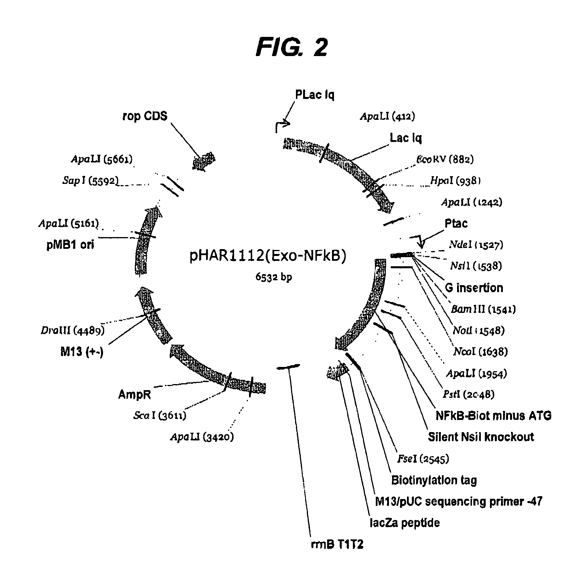 Method for determining protein solubility