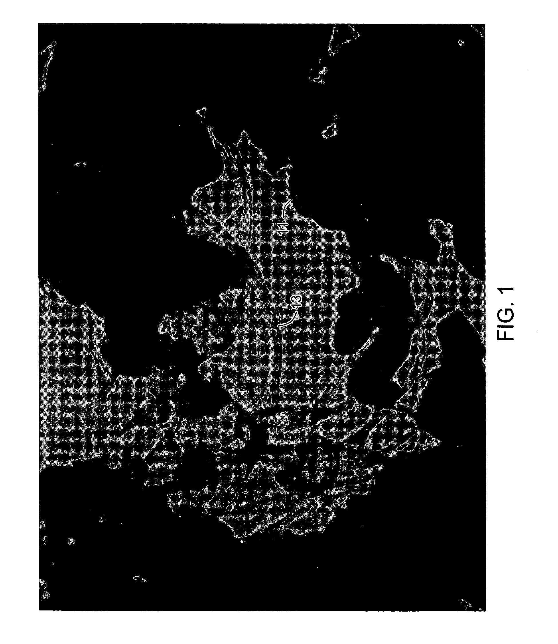 Carbon black with attached carbon nanotubes and method of manufacture