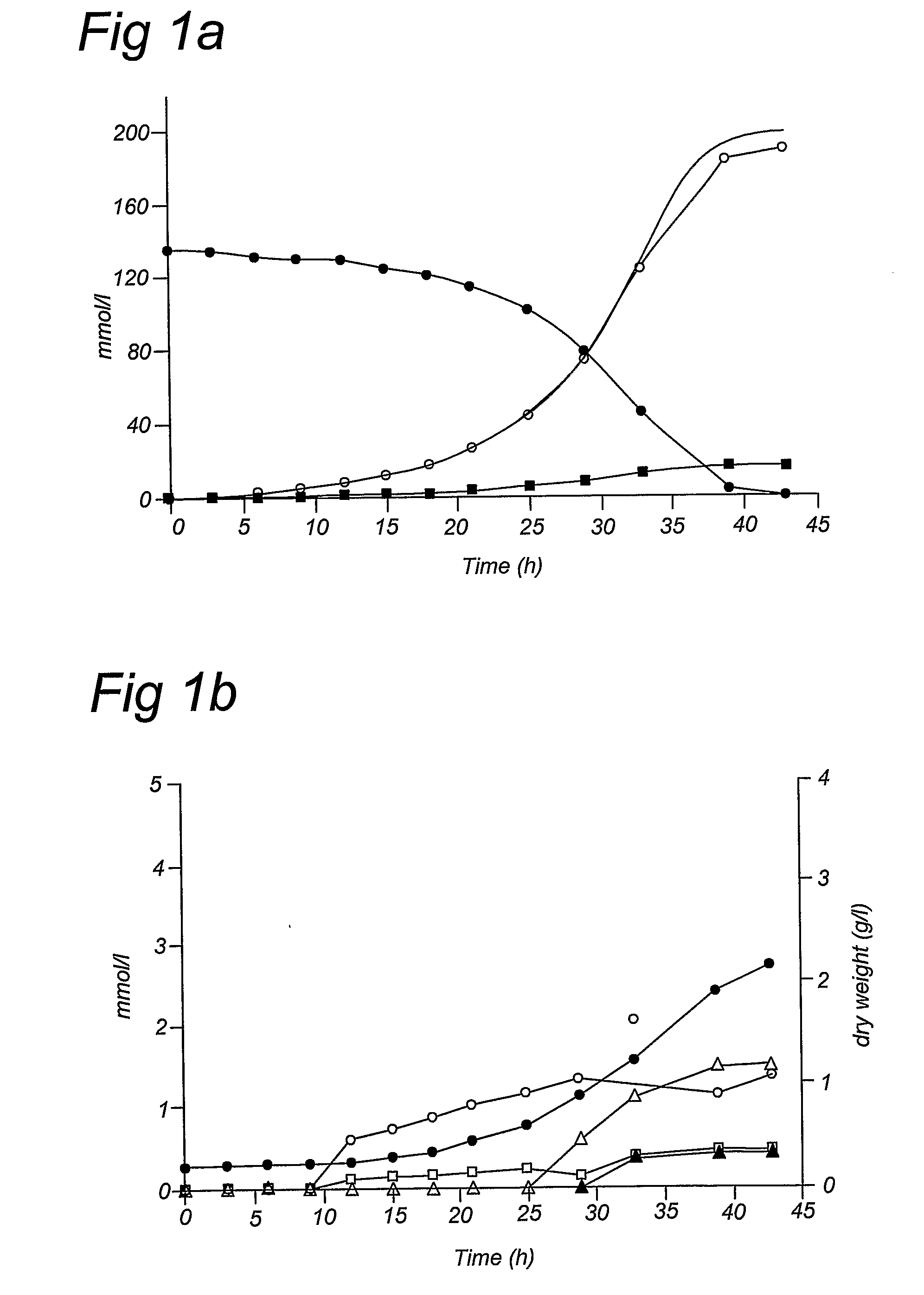 Metabolic Engineering of Xylos Fermentation