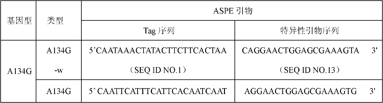ApoA5 genic mutation detection specific primer and liquid phase chip