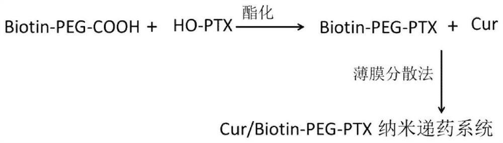 A nano-drug delivery system for time-sequential release of curcumin and chemotherapeutic drugs and its application