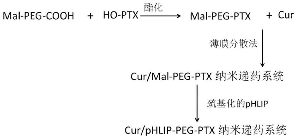 A nano-drug delivery system for time-sequential release of curcumin and chemotherapeutic drugs and its application