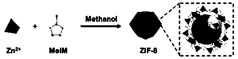 Preparation method and application of zinc organic framework drug-loading system entrapping rapamycin