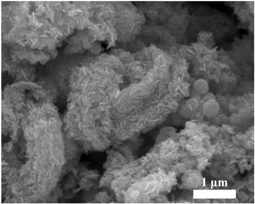 Preparation method and application of cobalt sulfide having nano-lamella assembled three-dimensional annular micro-nano structure
