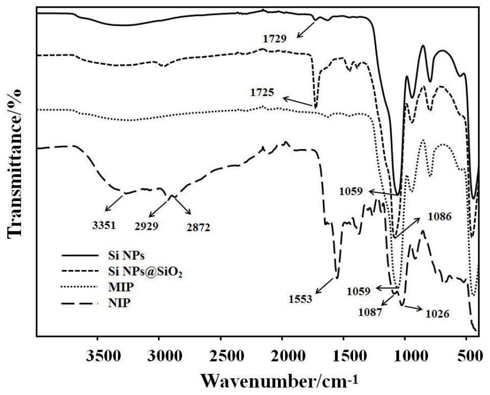 A method for preparing a fluorescent double-template epitope-imprinted polymer based on silicon nanoparticles