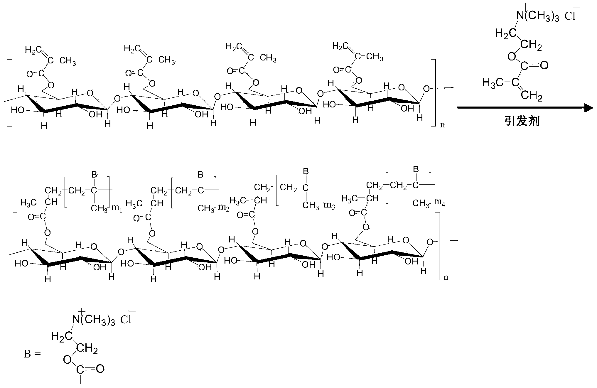 Antimicrobial bacterial cellulose and preparation method thereof