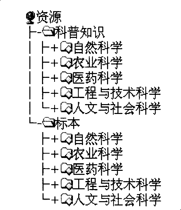 Digital museum gridding and construction method thereof