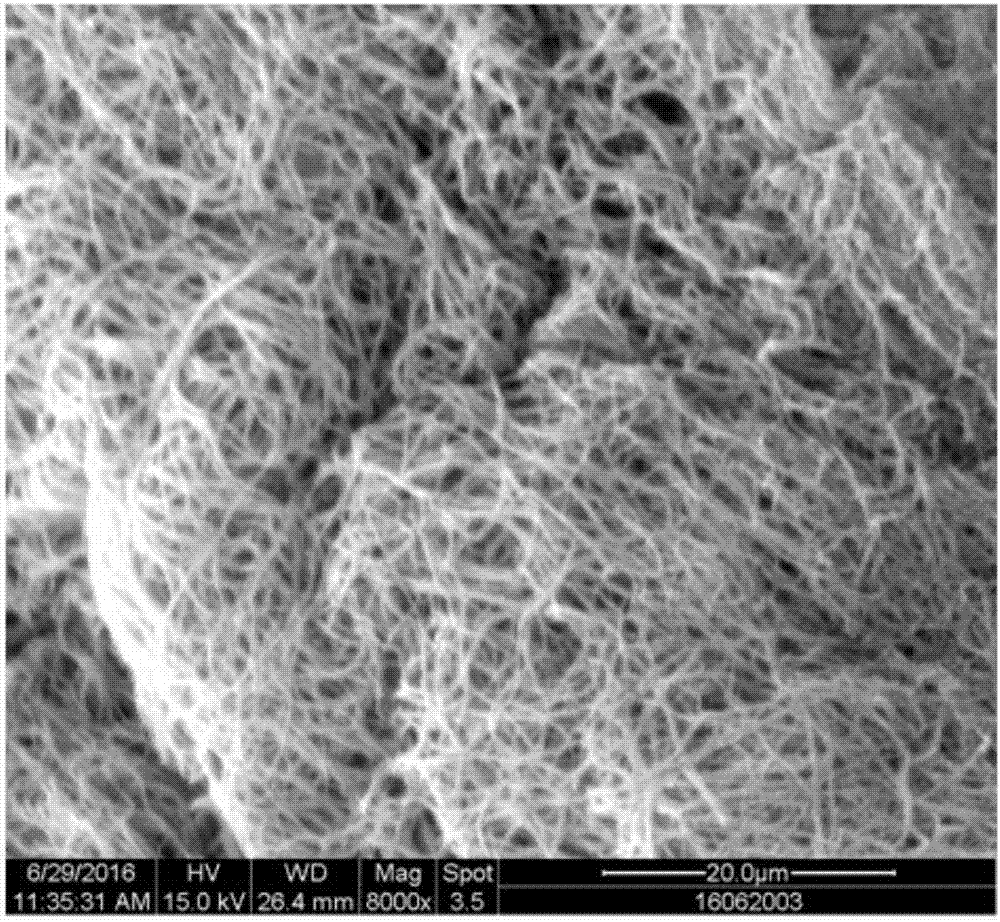 Composite fiber scaffold and preparation method thereof