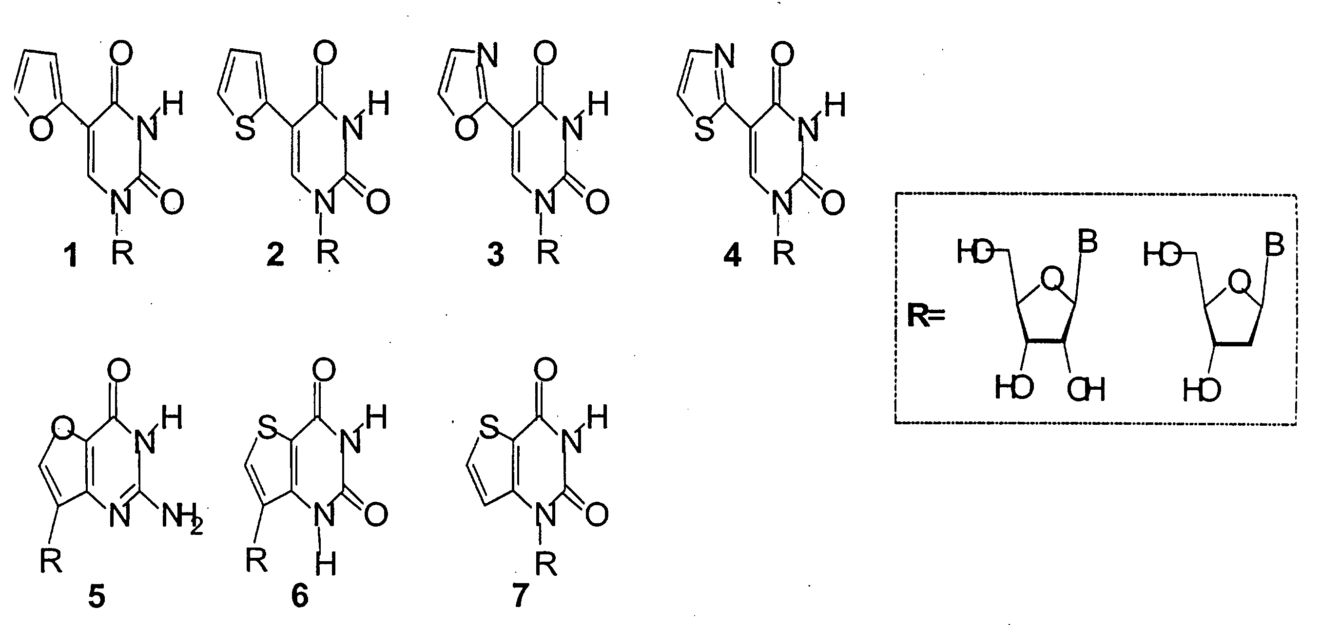 Fluorescent Nucleoside Analogs That Mimic Naturally Occurring Nucleosides