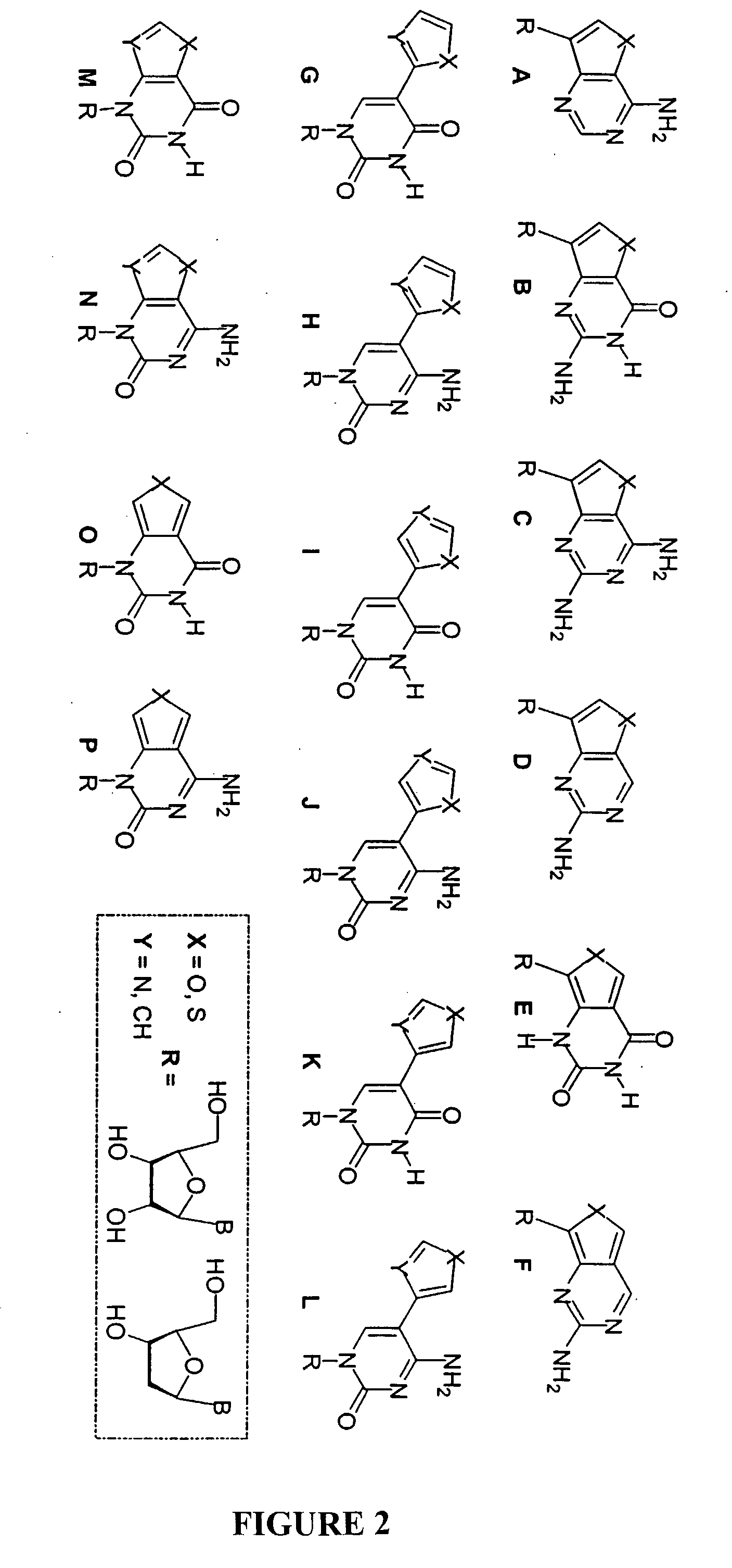 Fluorescent Nucleoside Analogs That Mimic Naturally Occurring Nucleosides