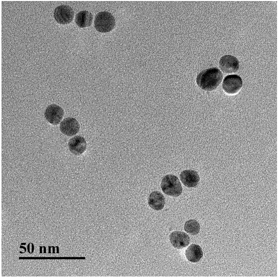 A method for ultrasensitive detection of alpha-fetoprotein based on surface-enhanced Raman scattering effect of silver nanoparticle trimers