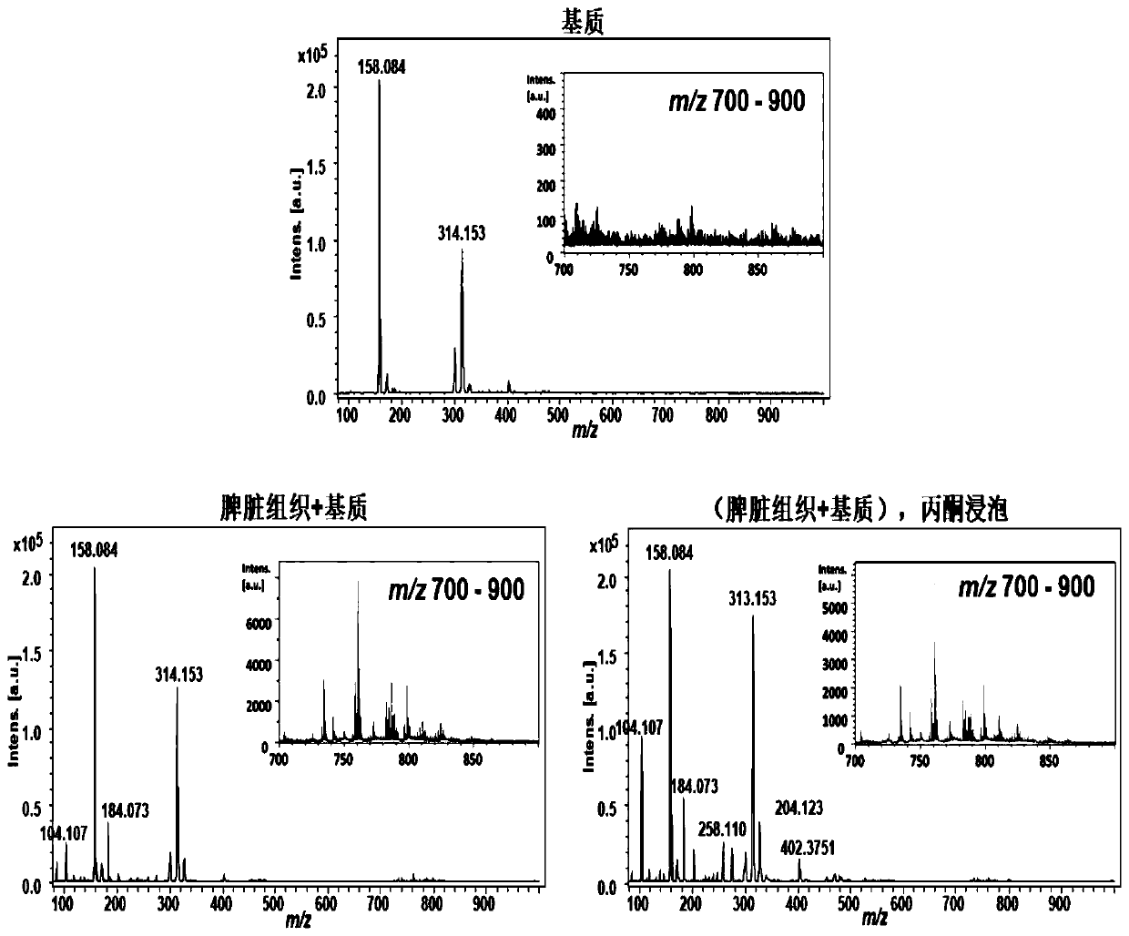 Mass spectrometry imaging method for simultaneously analyzing various amine metabolites in biological tissues