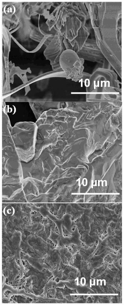 Polyvinyl alcohol-bacterial cellulose sandwich structure type alkaline anion exchange membrane as well as preparation and application thereof