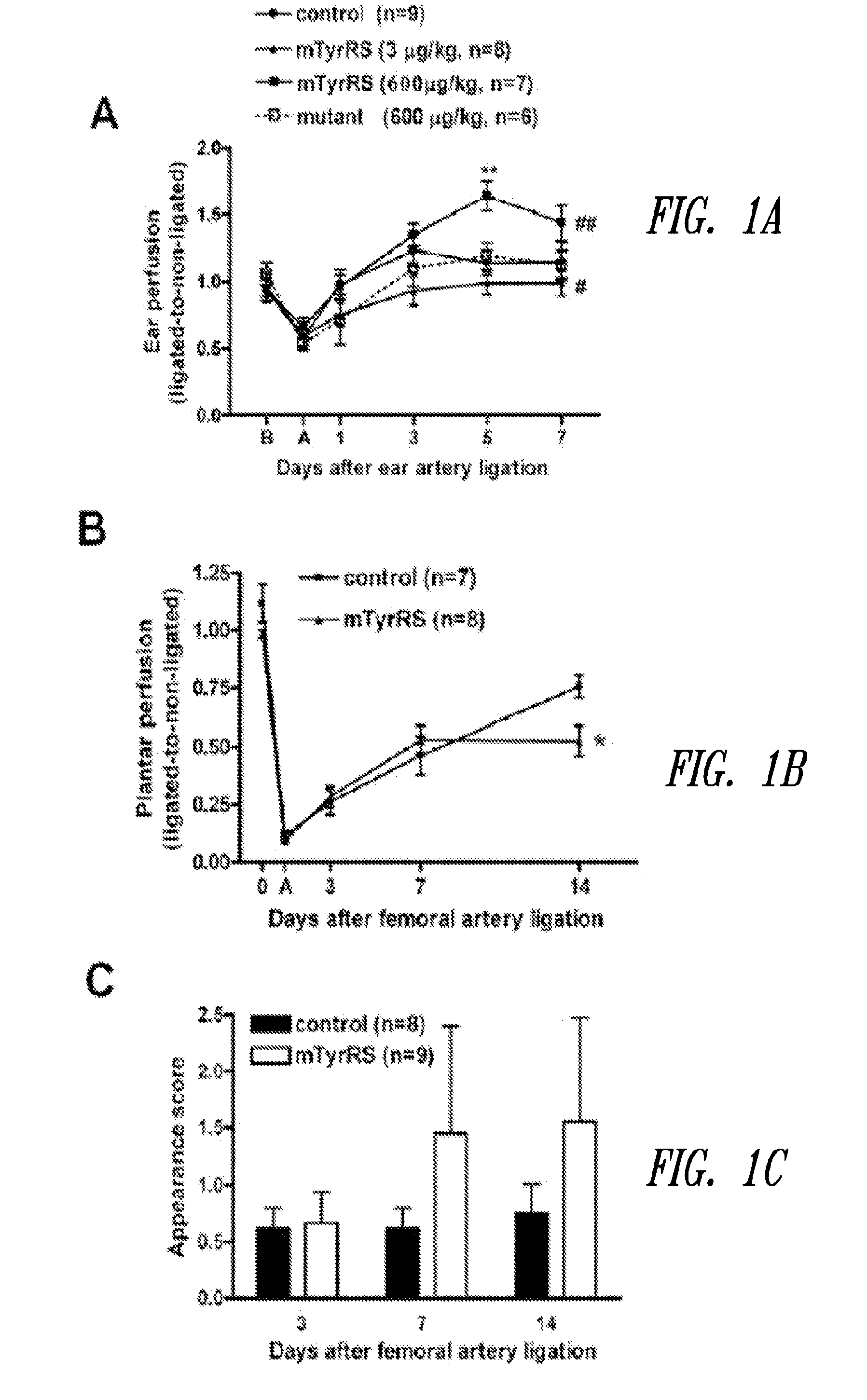 ANGIOSTATIC COMPOSITIONS COMPRISING TRUNCATED TYROSYL-tRNA SYNTHETASE POLYPEPTIDES AND METHODS OF USING SAME
