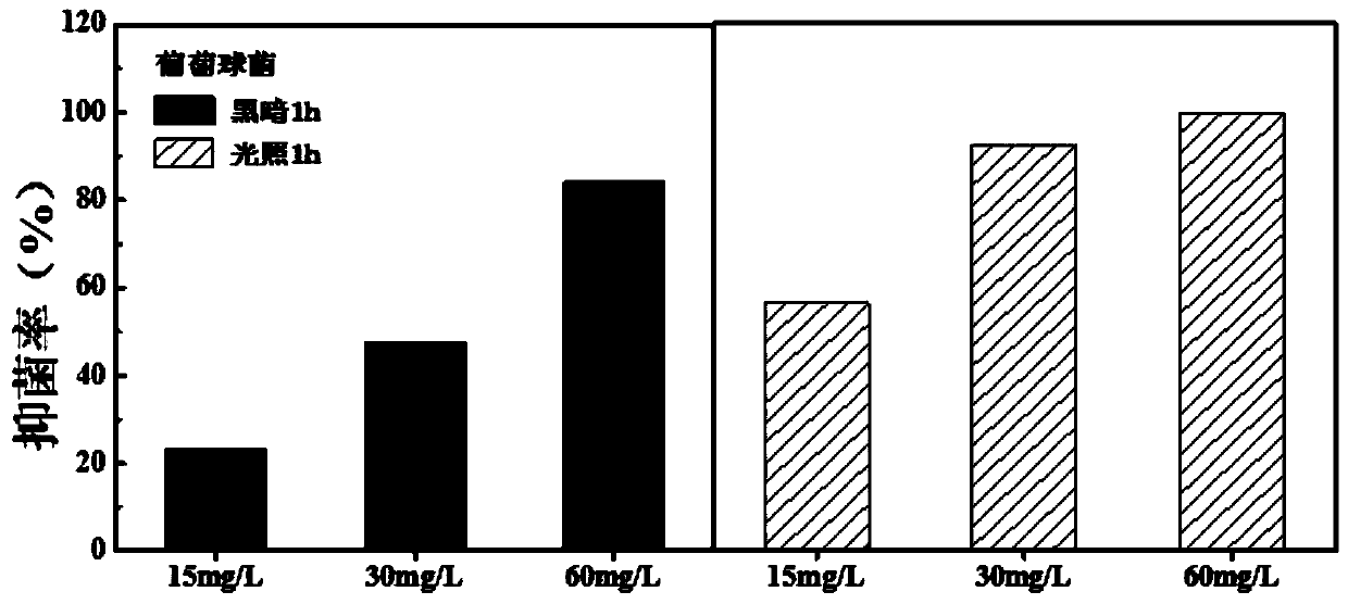 Preparation and Application of a Yttrium Oxide-Ferric Oxide Composite Nano Antibacterial Material