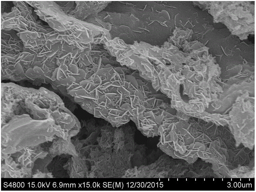 Graphite-phase nitrogen carbide nanosheet/cobaltosic oxide nanosheet composite nanomaterial of scale-shaped structure and preparation method and application thereof