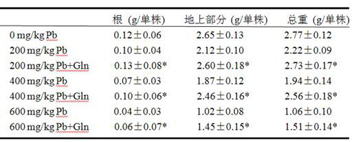 Glutamine inhibits the absorption of Pb in Chinese cabbage and improves the ability to resist Pb pollution