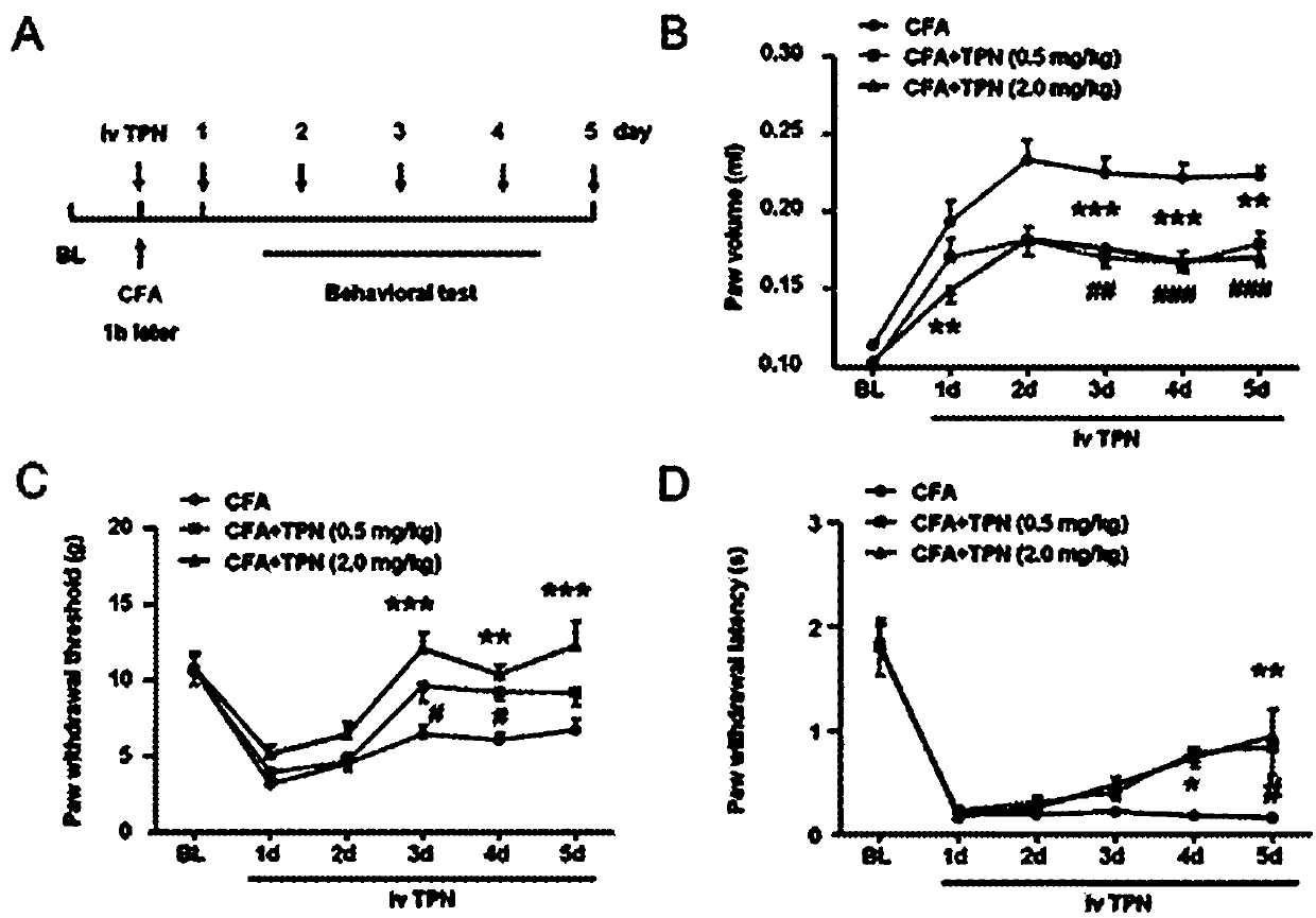 Method of using triptonide for alleviating mouse hyperalgesia reaction induced by CFA