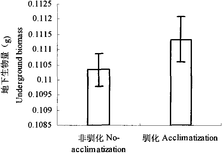 Domestication method adopted for enhancing salt resistance of festuca arundinacea
