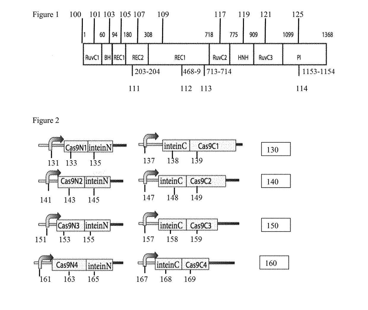 Genetic indicator and control system and method utilizing split Cas9/CRISPR domains for transcriptional control in eukaryotic cell lines