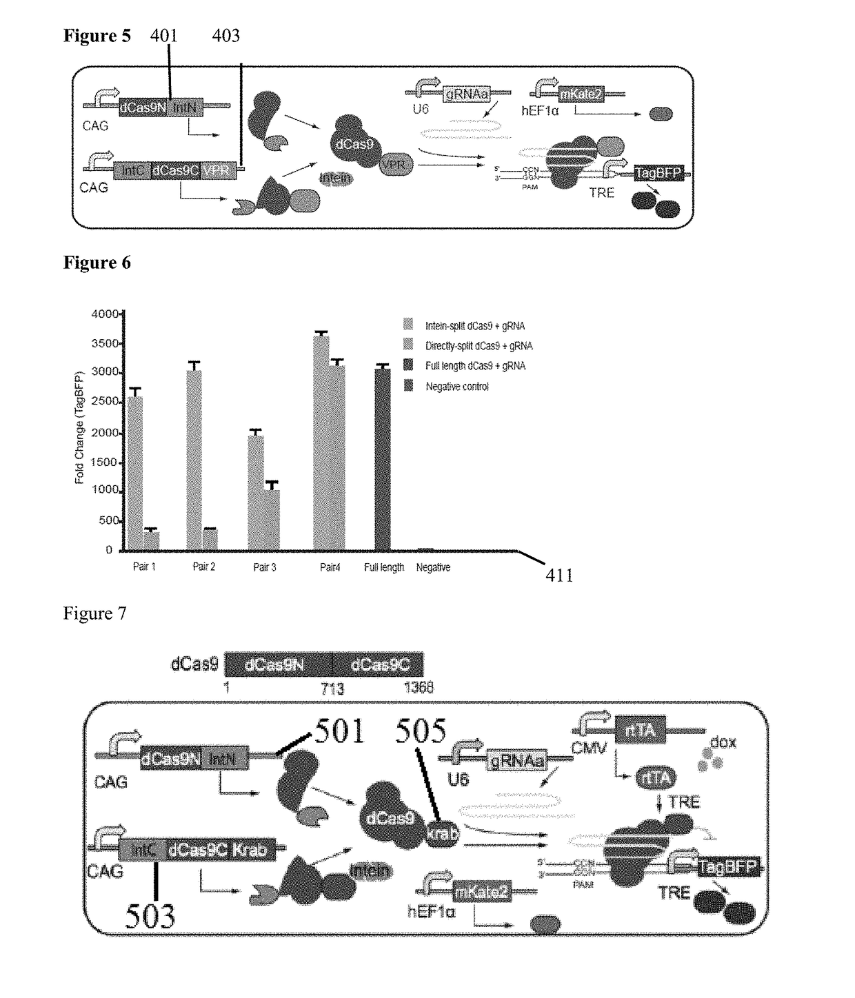 Genetic indicator and control system and method utilizing split Cas9/CRISPR domains for transcriptional control in eukaryotic cell lines